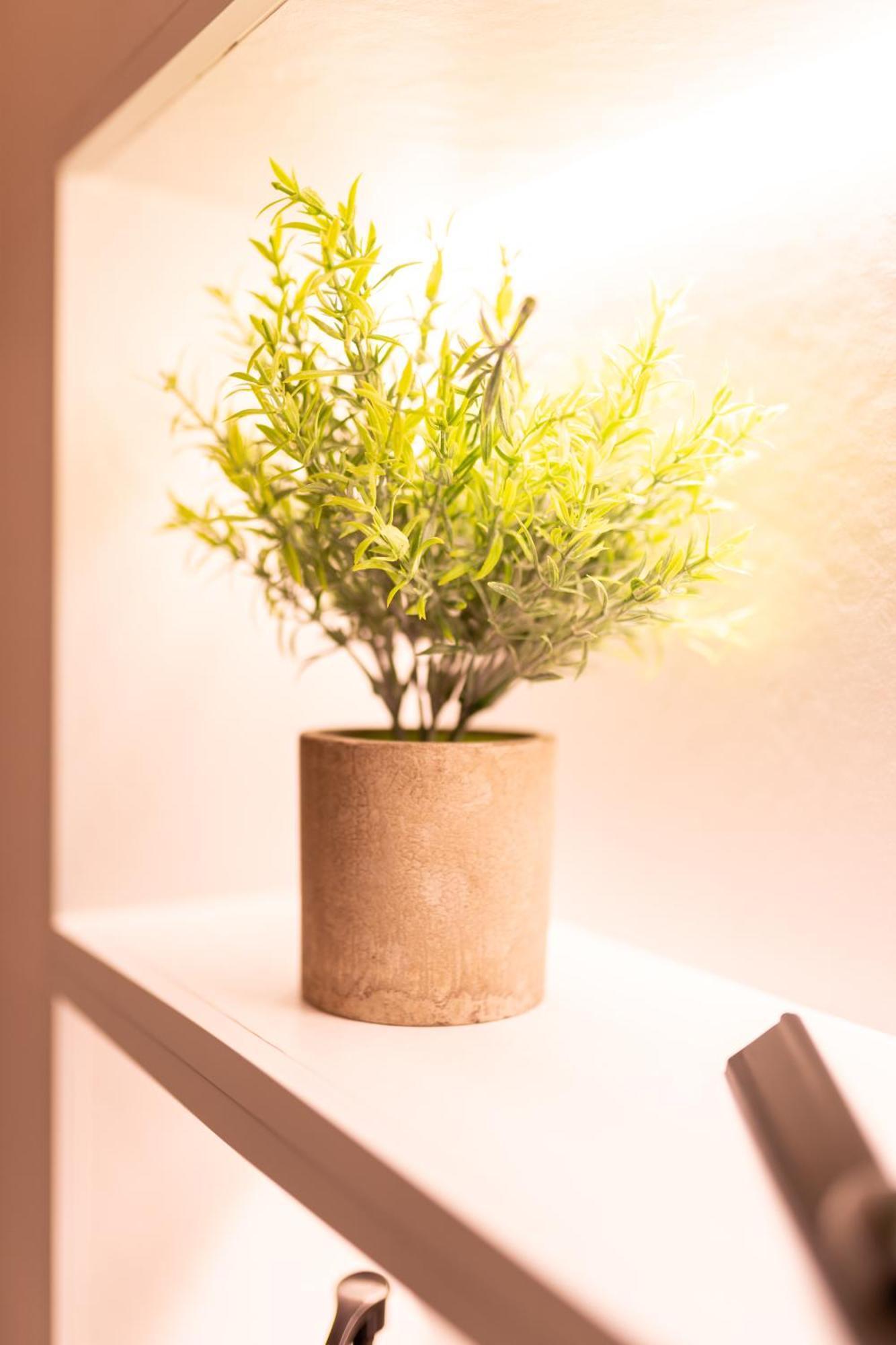 Apartamento Seran Ii